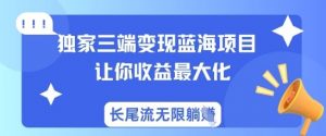 独家三端变现蓝海项目，让你收益最大化，长尾流无限躺挣-康仁安资源