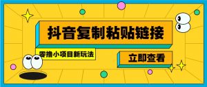 零撸小项目，新玩法，抖音复制链接0.07一条，20秒一条，无限制。-康仁安资源