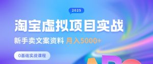 淘宝虚拟项目垂直玩法,新手卖文案资料,月入5k+-康仁安资源