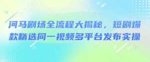 河马剧场全流程大揭秘,短剧爆款精选同一视频多平台发布实操-康仁安资源