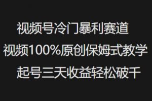 视频号冷门暴利赛道视频100%原创保姆式教学起号三天收益轻松破千-康仁安资源
