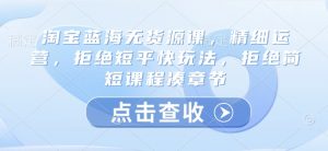 淘宝蓝海无货源课，精细运营，拒绝短平快玩法，拒绝简短课程凑章节-康仁安资源