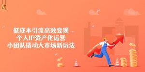 低成本引流高效变现，个人IP资产化运营，小团队撬动大市场新玩法-康仁安资源