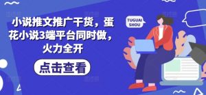 小说推文推广干货，蛋花小说3端平台同时做，火力全开-康仁安资源