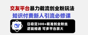交友平台暴力截流创业粉玩法，知识付费新人引流必修课，日稳定300+精准创业粉丝，逻辑相通可多平台放大-康仁安资源