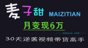 麦子甜30天逆袭视频带货高手，单月变现6W加特训营-康仁安资源