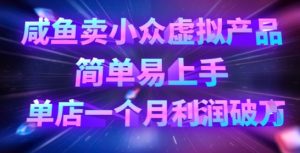 咸鱼卖小众虚拟产品，简单易上手，单店一个月利润破W-康仁安资源