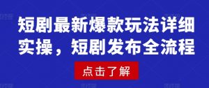 短剧最新爆款玩法详细实操,短剧发布全流程-康仁安资源
