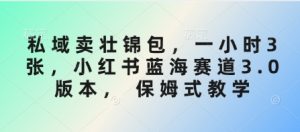 私域卖壮锦包,一小时3张,小红书蓝海赛道3.0版本, 保姆式教学-康仁安资源