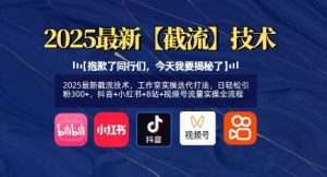 2025最新截流技术，工作室实操迭代打法，日轻松引粉300+，抖音+小红书+B站+视频号流量实操全流程-康仁安资源