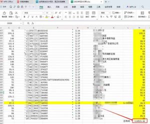全新项目，每天被动收益1000+，长期管道收益！-康仁安资源