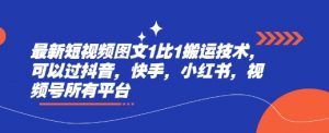 最新短视频图文1比1搬运技术,可以过抖音,快手,小红书,视频号所有平台-康仁安资源