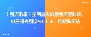 【引流必备】全网首发咸鱼引流黑科技,单日曝光引流500+,附矩阵玩法【揭秘】-康仁安资源