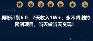 男粉计划6.0：7天收入1W+，永不凋谢的网创项目，当天做当天变现！-康仁安资源
