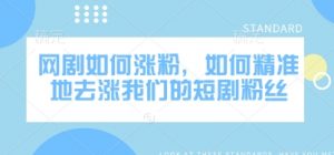 网剧如何涨粉，如何精准地去涨我们的短剧粉丝-康仁安资源