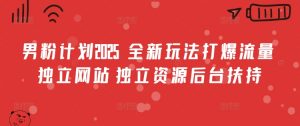 男粉计划2025 全新玩法打爆流量 独立网站 独立资源后台扶持【揭秘】-康仁安资源