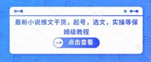 最新小说推文干货，起号，选文，实操等保姆级教程-康仁安资源