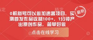 0粉新号可以做的加速器项目，实测首发作品收益100+，1分钟产出原创作品，简单好做-康仁安资源