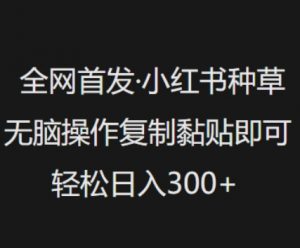 全网首发，小红书种草无脑操作，复制黏贴即可，轻松日入3张-康仁安资源