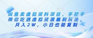 闲鱼卖虚拟资料项目，手把手带你吃透虚拟资源暴利玩法，月入2W，小白也能复制-康仁安资源
