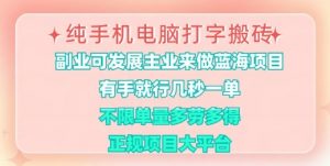 纯手机电脑打字搬砖，有手就行，几秒一单，多劳多得，正规项目大平台【揭秘】-康仁安资源