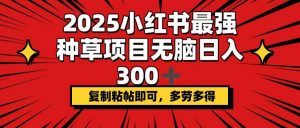 2025小红书最强种草项目,无脑日入300+,复制粘帖即可,多劳多得-康仁安资源