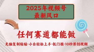2025年视频号新风口，低门槛只需要无脑执行-康仁安资源