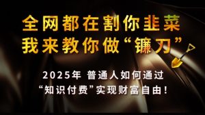 全网都在割你韭菜，我来教你做镰刀,2025普通人如何通过知识付费，实现财F自由【揭秘】-康仁安资源