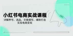 小红书电商实战课程，详解养号、选品、文案撰写、爆款打造，实现电商变现-康仁安资源