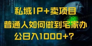 私域IP+卖项目,普通人如何做到宅家办公实现日入1000+-康仁安资源