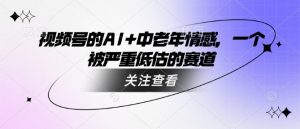 视频号的AI+中老年情感，一个被严重低估的赛道-康仁安资源