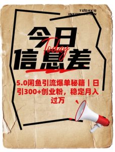 5.0闲鱼引流爆单秘籍,日引300+创业粉,稳定月入过W-康仁安资源