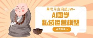 AI国学私域运营模型,单号月变现过W-康仁安资源