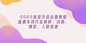 2025淘宝开店运营教程更新,直通车技巧全解析,动销、爆款、人群搭建-康仁安资源