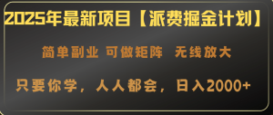 2025年最新项目【派费掘金计划】操作简单，日入2000+-康仁安资源