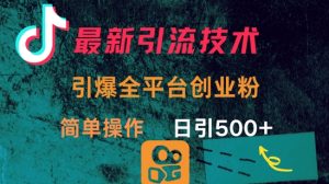 最新引流方法，引爆全平台的一个创业粉，简单操作日引300+-康仁安资源