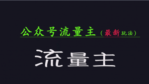 公众号流量全网最新玩法核心，系统讲解各种先进玩法和稳定收益的方法-康仁安资源