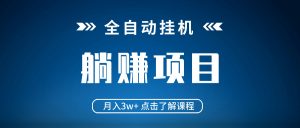 全自动挂机项目 月入3w+ 真正躺平项目 不吃电脑配置 当天见收益-康仁安资源