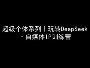 超级个体系列,玩转DeepSeek·自媒体IP训练营,deepseek教程-康仁安资源