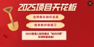 2025项目天花板普通人如何通过知识付费,实现财F自由【揭秘】-康仁安资源