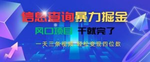 信息查询暴力掘金,一天三条视频,轻松变现四位数,风口项目干就完了【揭秘】-康仁安资源