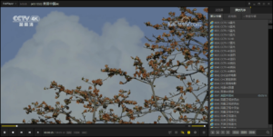 图片[1]-全能影音播放器 PotPlayer v1.7.22613 绿色去广告版-康仁安资源