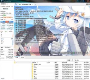 图片[1]-FinalShell-康仁安资源