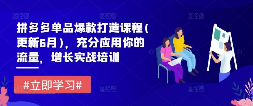 拼多多单品爆款打造课程(更新6月)，充分应用你的流量，增长实战培训-康仁安资源