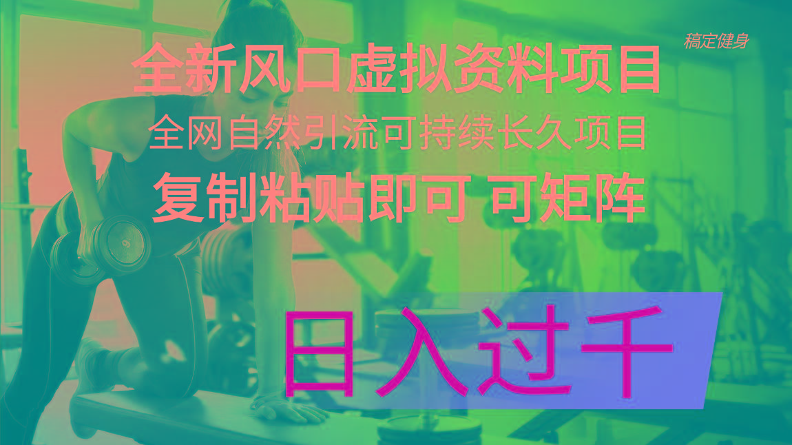 全新风口虚拟资料项目 全网自然引流可持续长久项目 复制粘贴即可可矩阵...-康仁安资源