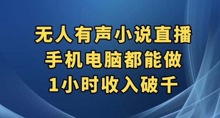 抖音无人有声小说直播，手机电脑都能做，1小时收入破千【揭秘】-康仁安资源