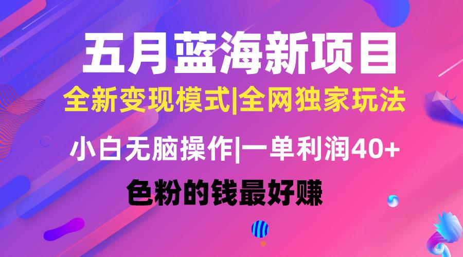 五月蓝海项目全新玩法，小白无脑操作，一天几分钟，矩阵操作，月入4万+-康仁安资源