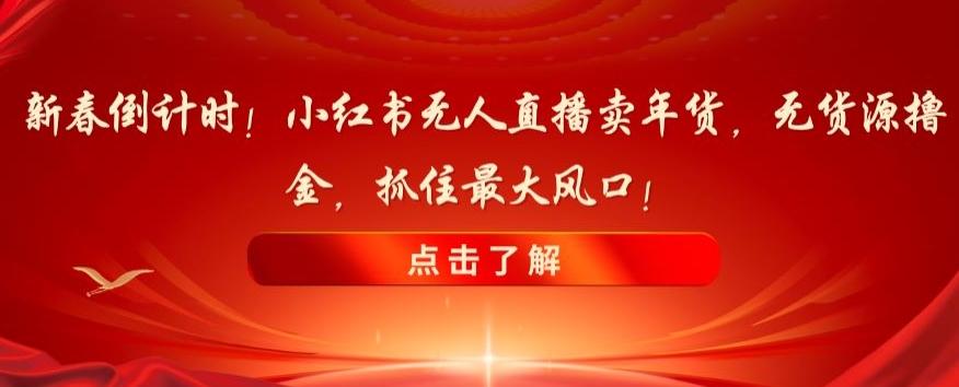 新春倒计时！小红书无人直播卖年货，无货源撸金，抓住最大风口【揭秘】-康仁安资源