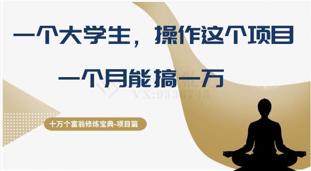 十万个富翁修炼宝典之4.一个大学生操作这个项目，一个月能搞一万-康仁安资源