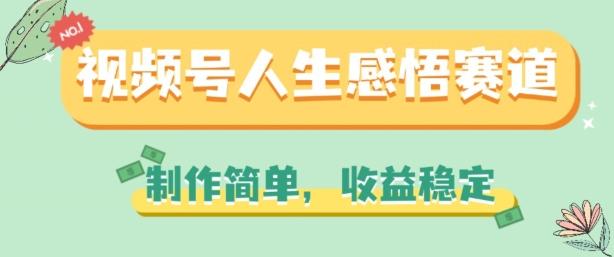 视频号人生感悟赛道，制作简单，收益稳定【揭秘】-康仁安资源